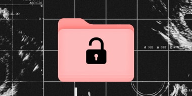 Photo illustration: An open lock on a salmon colored computer folder against a background of grid showing parts of a sonogram.