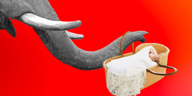 Photo Illustration: An elephant carrying a baby basket on its trunk