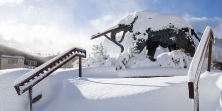 Image: Snow covers the namesake sculpture at Mammoth Mountain ski resort