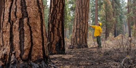 Steve Rondeau, Klamath Tribes natural resources director.