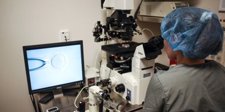 Image: In Vitro Fertilization