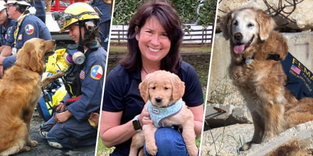 Pictured from left to right: Denise Corliss with search dog Bretagne at ground zero in New York City in September 2001; Corliss with Finn, Bretagne's little sister, in 2020; Bretagne working at a disaster training site for dogs in Texas in 2014.