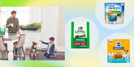 See the best dental treats for dogs to try in 2022. Learn how to shop for dog dental treats and shop the best ones from Greenies, Purina, Milk-Bone and more.