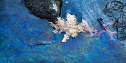 Toxic chemicals float on the surface of Leslie Run creek in East Palestine, Ohio