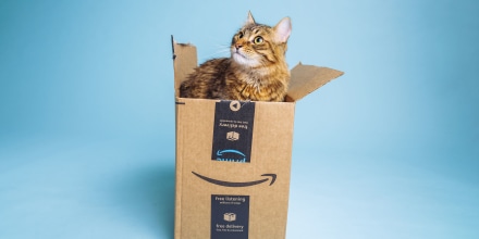 Cat in an Amazon box