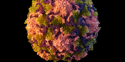Esta ilustración de 2014, provista por los Centros para el Control y la Prevención de Enfermedades de Estados Unidos (CDC, por sus siglas en inglés), representa una partícula del virus de polio.