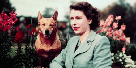 La reina Elizabeth II con su mascota.
