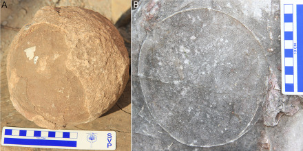 Fossilized eggs reveal new secrets about one of the world's largest dinosaurs