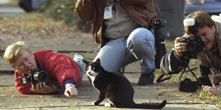 Image: Socks, the Clinton family cat, poses for photographers outside the Arkansas Governor's Mansion in Little Rock in 1992.