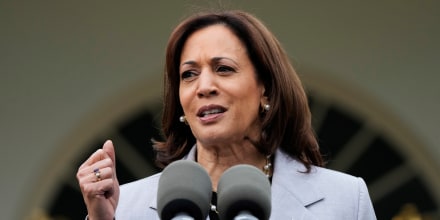 Vice President Kamala Harris speaks in the Rose Garden