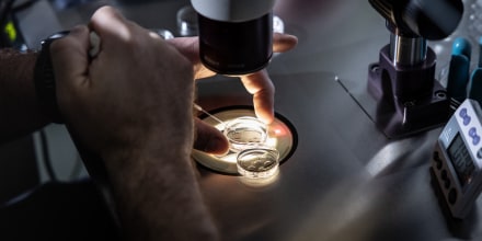 An embryologist adds media to petri dishes containing embryos, before freezing the embryos, in Fountain Valley, Calif.
