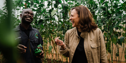 Vice President Kamala Harris Tours Panuka Farm in Zambia