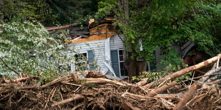 Uprooted trees in front of a destroyed home