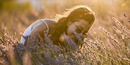 Lavender garden in the Turkiye's Ankara