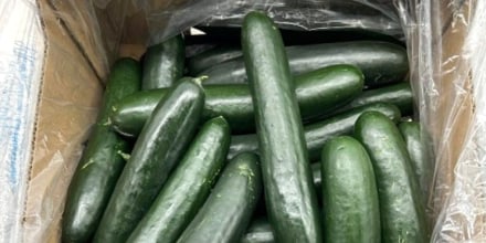 Cucumbers recall food safety