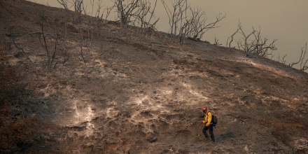 Image: Powerful Winds Fuel Multiple Fires Across Los Angeles Area firefighter hillside palisades fire