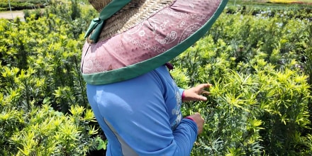HeadlineImage