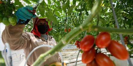 HeadlineImage