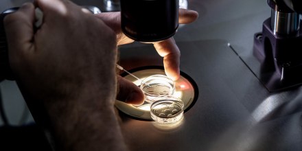 Illia Brusianskyi, a senior embryologist at West Coast Fertility Centers, in Fountain Valley, CA., adds media to petri dishes containing embryos, before freezing the embryos, February 29, 2024.