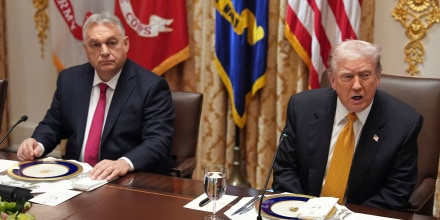 President Donald Trump meets with Hungary's Prime Minister Viktor Orban in the Cabinet Room of the White House, Friday, Nov. 7, 2025.