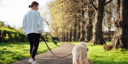 Woman walking dog in spring