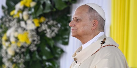 Pope Leo XIV.
