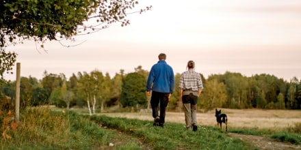 Rear view of couple with dog walking on field at sunset