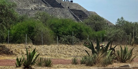 Tiroteo en pirámides de Teotihuacán deja al menos una turista muerta y varios heridos. El atacante falleció
