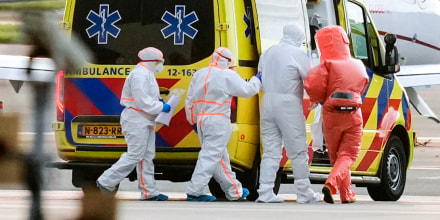 Los científicos ya están trabajando una vacuna contra el hantavirus. ¿Cuándo estará lista?