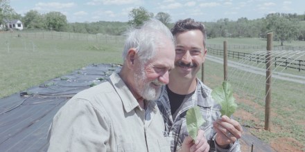 Rudy Neish looks at lettuce gardened by Tyler Butterworth.