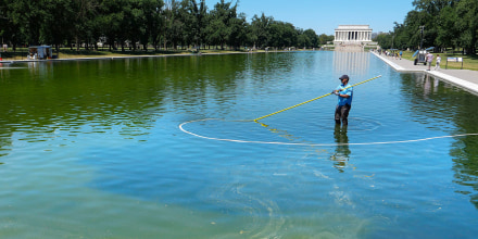 Detienen a exatleta olímpico en el estanque del Lincoln Memorial; niega haber causado daños