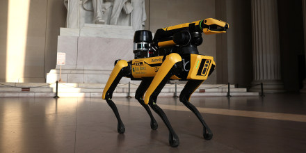 ICE contempla gastar hasta $2 millones en perros robot para sus operativos migratorios