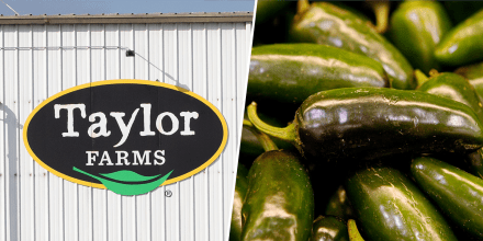taylor farms jalapeno recall salmonella