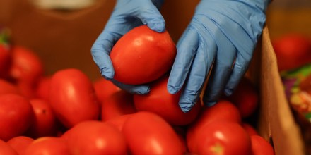 Los tomates, el símbolo más claro del encarecimiento de la vida bajo Trump