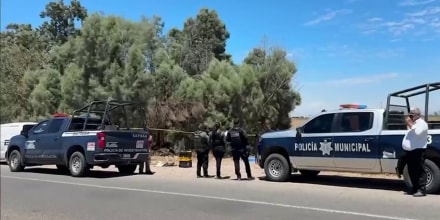 La guerra entre los Chapitos y los Mayitos: 14 asesinatos en una semana