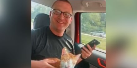 Un militar en EE.UU. adopta un gato que conoció cuando estaba desplegado en Irak