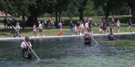 El estanque del Lincoln Memorial se torna verde por las algas pese a su costosa renovación
