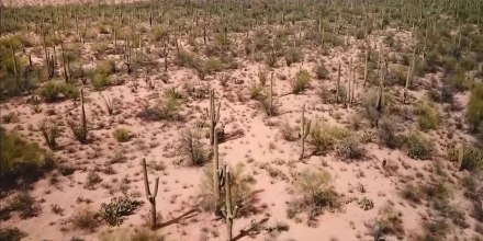 Han muerto 113 migrantes en el desierto de Arizona en el último año