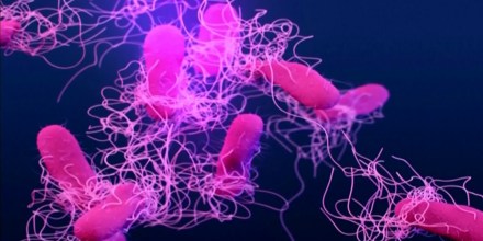 Más de 15,700 casos de ciclosporosis elevan las alertas por alimentos contaminados