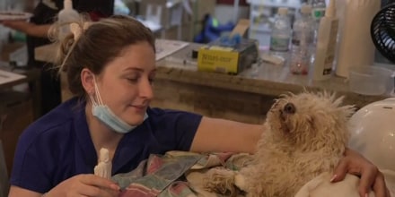 Una familia logra sacar de los escombros a su perro Buddy, sepultado por una semana