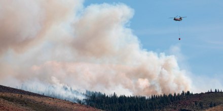 El incendio Hawk continúa sin control a pesar de los esfuerzos de las autoridades de Nevada