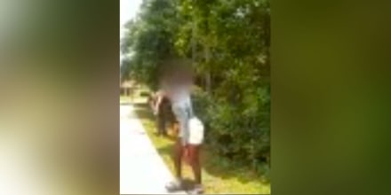 Encuentran a una niña extraviada con la ayuda de un perro entrenado