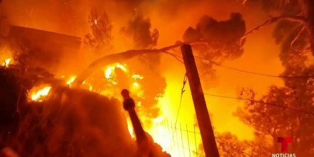 Un muerto y 40 heridos deja un incendio forestal en Croacia
