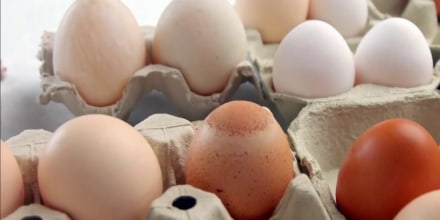 Brote de salmonela en huevos de Texas deja al menos 98 enfermos en 17 estados