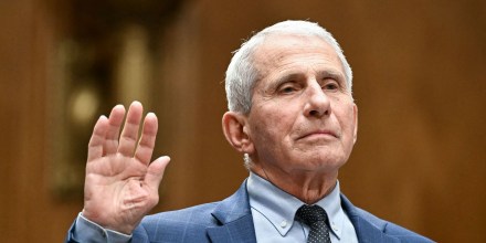 Las claves de la audiencia de 3 horas donde el doctor Fauci invocó la Quita Enmienda