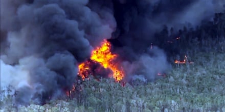 Bomberos combaten un fuerte incendio de pastizales en el sur de Florida