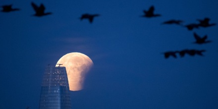 Cómo y dónde se podrá disfrutar en EE.UU. el eclipse lunar este jueves