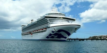 Preocupación por un brote de norovirus en un crucero que va hacia un puerto de Florida