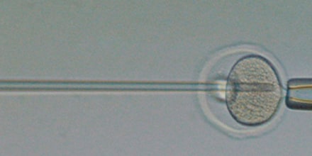 Trump lanza una iniciativa que pretende mejorar el acceso a la fertilización 'in vitro'