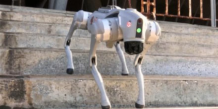 ICE planea comprar perros robots para sus operativos migratorios